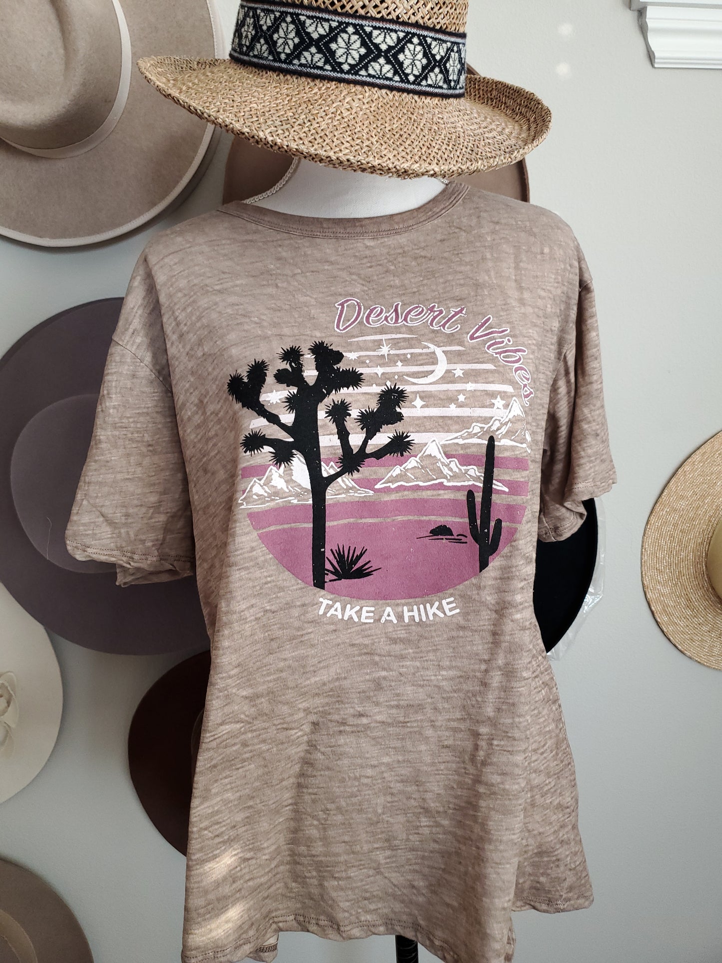 Oversized Vintage Washed Desert Vibes Graphic Tee