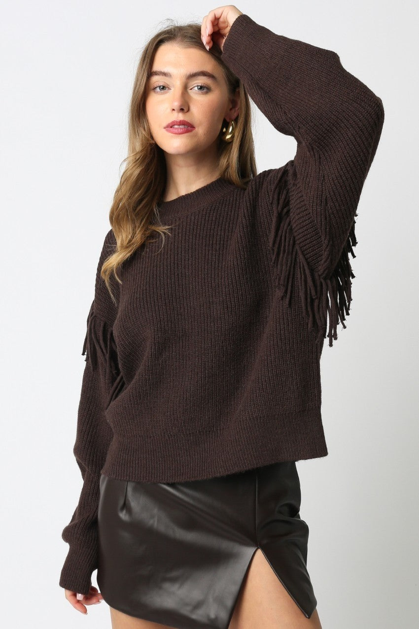 Mesina Fringe Knit Espresso Brown Sweater