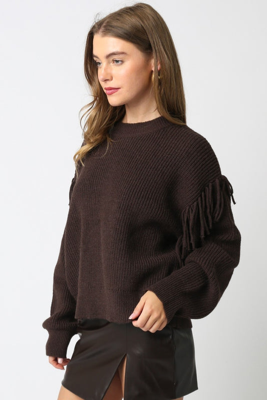 Mesina Fringe Knit Espresso Brown Sweater