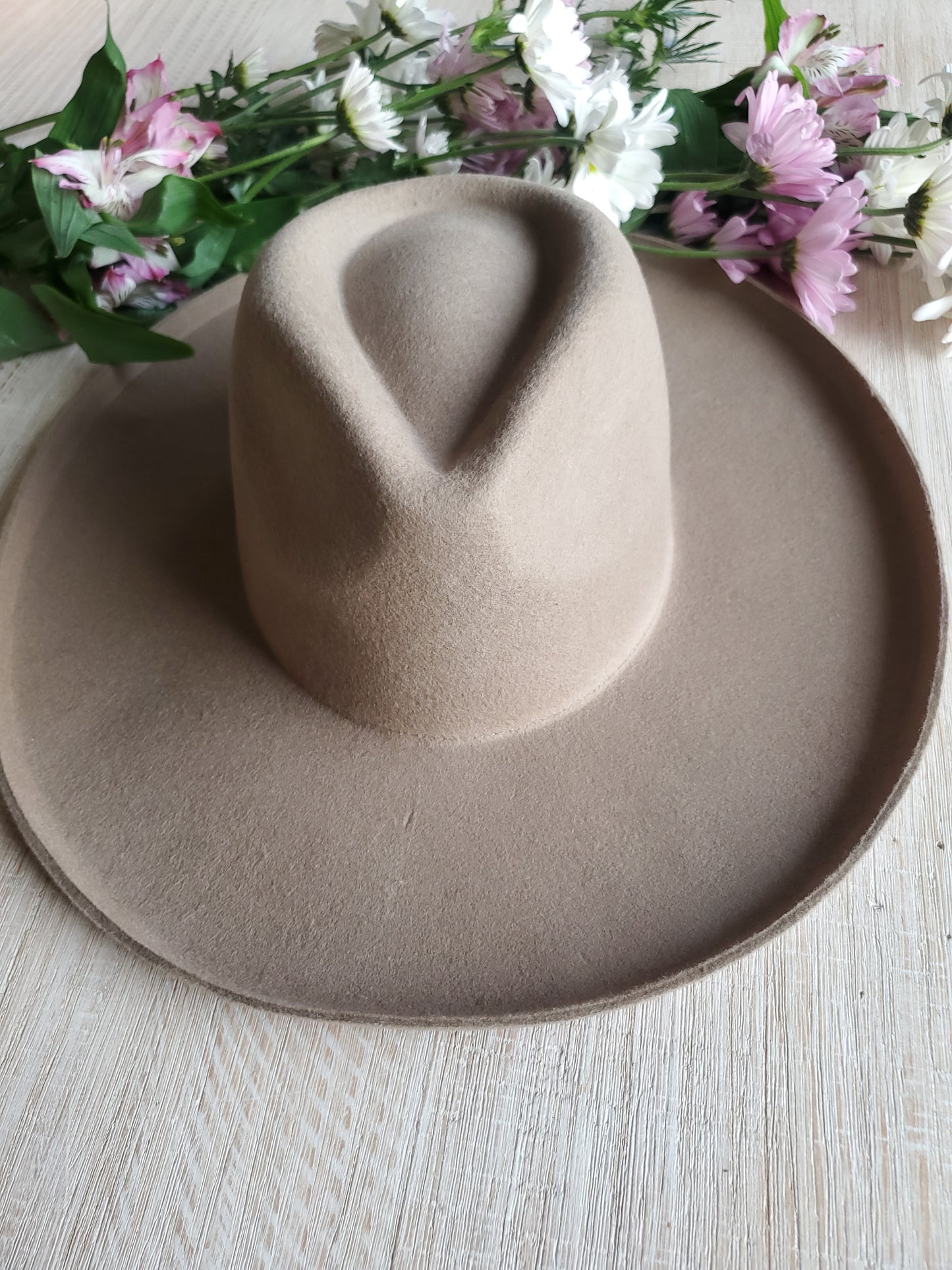 Pecan Influencer Hat