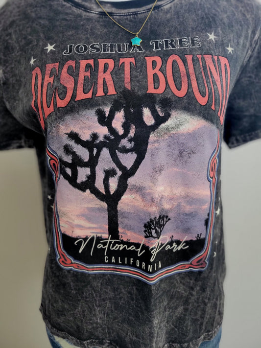 JOSHUA TREE DESERT BOUND  Mineral Black Cotton graphic tee